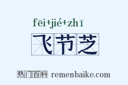 飞节芝是什么意思的图片